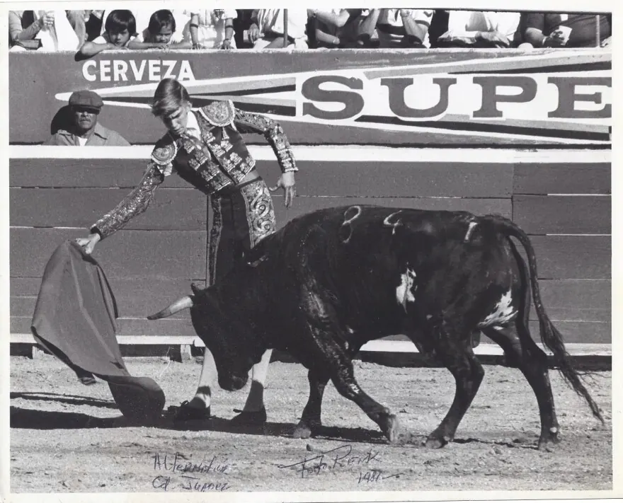 A young matador in a suit of lights drawing his cape past a black bull, in front of the barrier of a packed arena